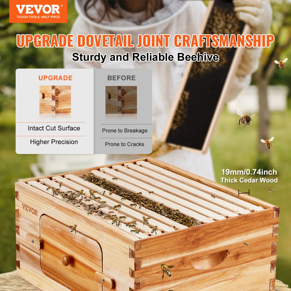 AMITOOLS Bee Hive Deep Box Starter Kit, 100% Beeswax Coated Natural Cedar Wood, Langstroth Beehive Kit with 10 Frames and Foundations, Transparent Acrylic Bee Windows for Beginners and Pro Beekeepers