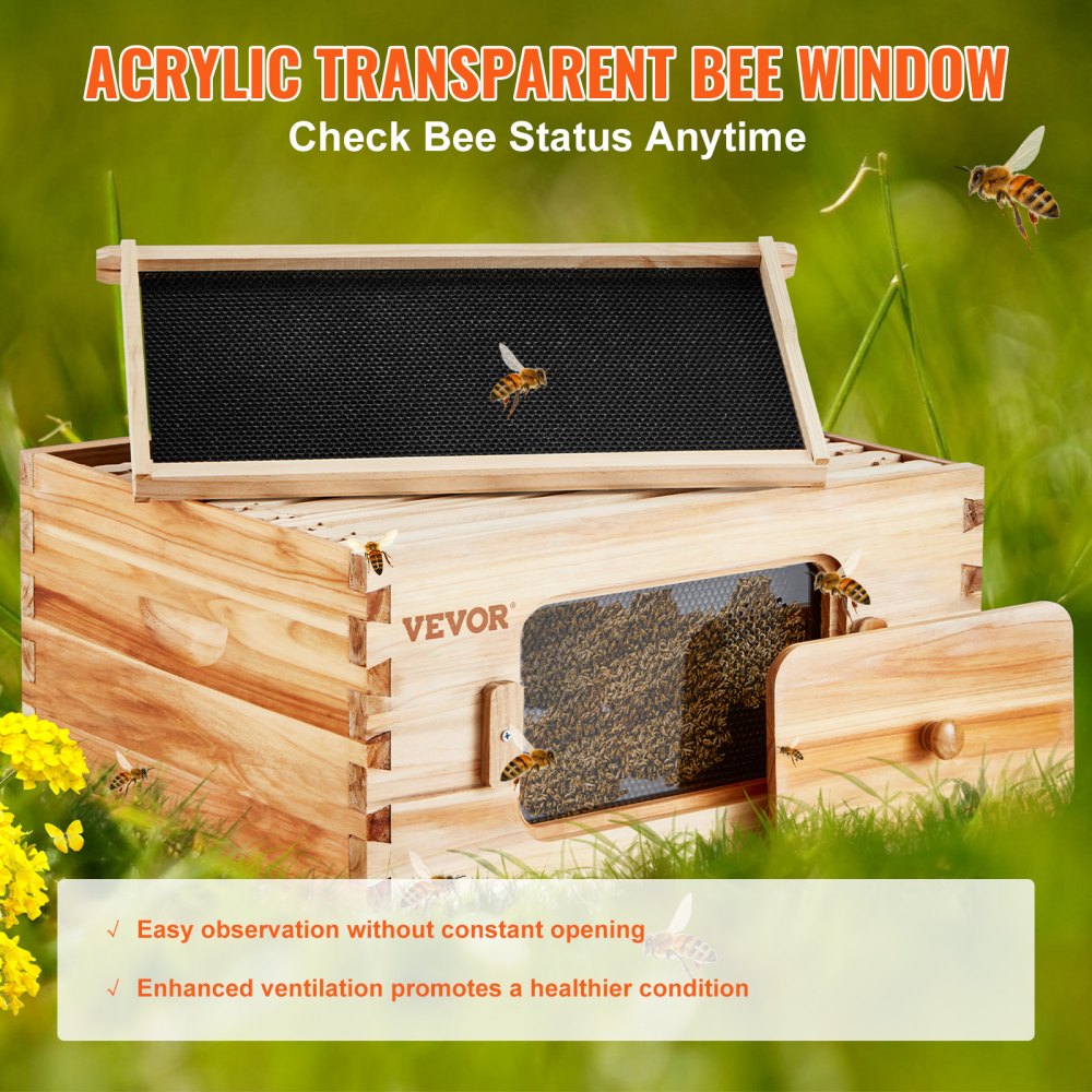 AMITOOLS Bee Hive Deep Box Starter Kit, 100% Beeswax Coated Natural Cedar Wood, Langstroth Beehive Kit with 10 Frames and Foundations, Transparent Acrylic Bee Windows for Beginners and Pro Beekeepers