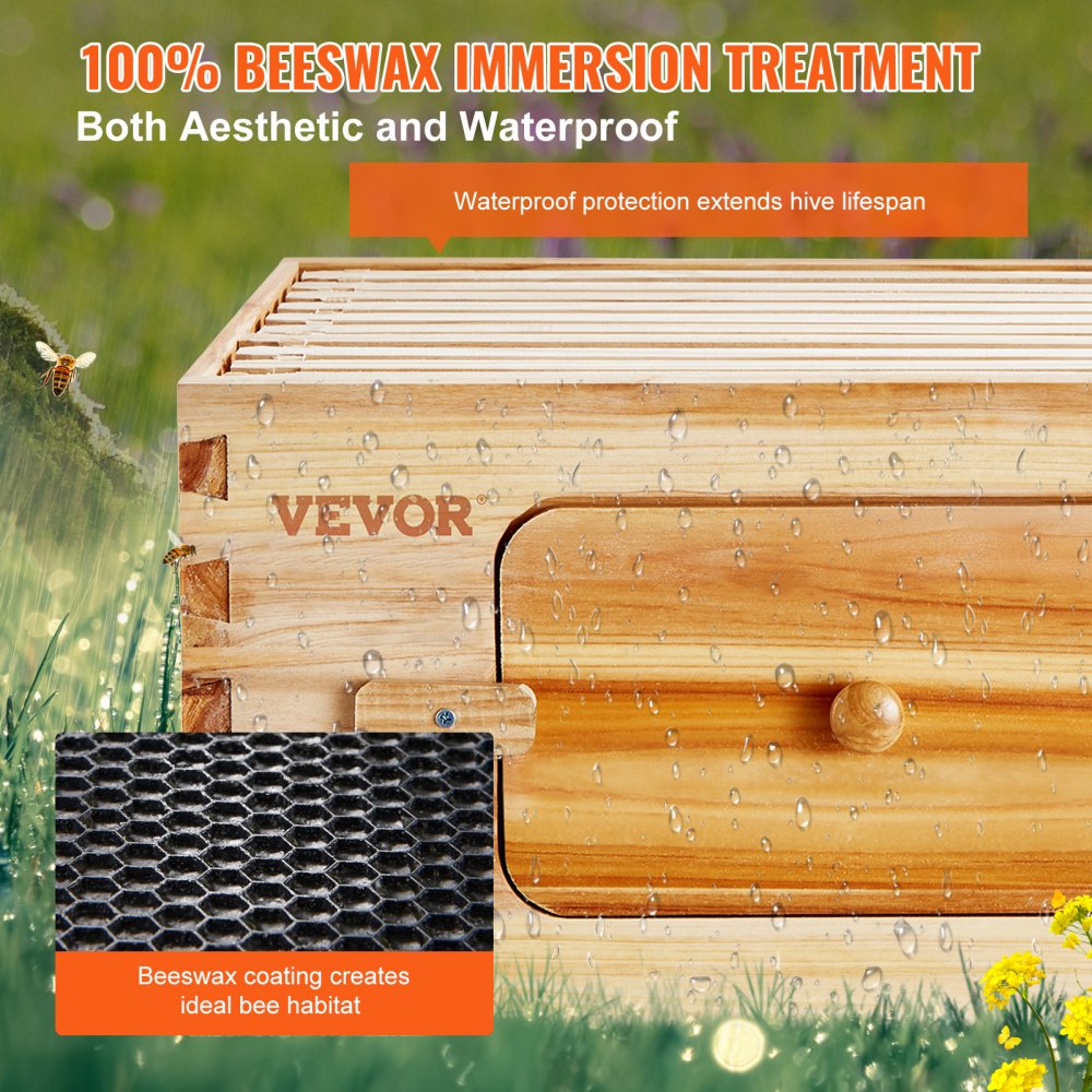 AMITOOLS Bee Hive Deep Box Starter Kit, 100% Beeswax Coated Natural Cedar Wood, Langstroth Beehive Kit with 10 Frames and Foundations, Transparent Acrylic Bee Windows for Beginners and Pro Beekeepers