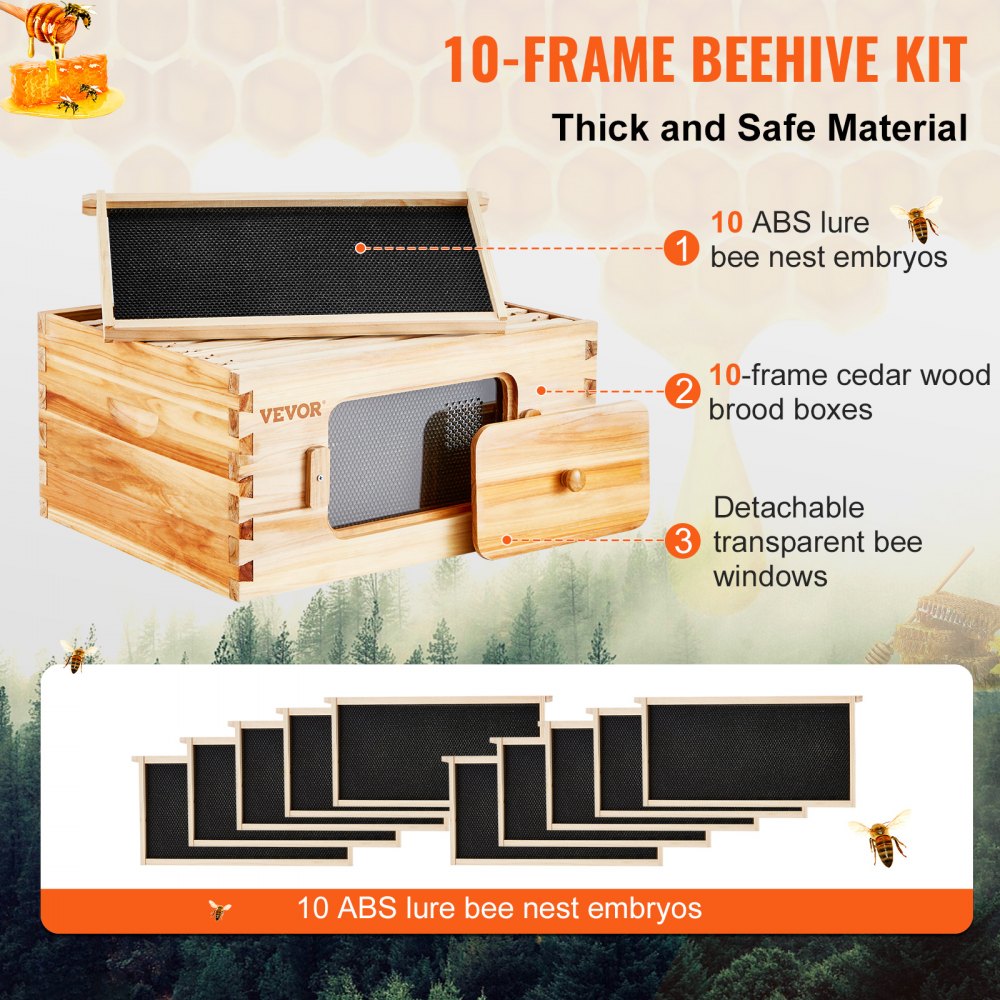 AMITOOLS Bee Hive Deep Box Starter Kit, 100% Beeswax Coated Natural Cedar Wood, Langstroth Beehive Kit with 10 Frames and Foundations, Transparent Acrylic Bee Windows for Beginners and Pro Beekeepers