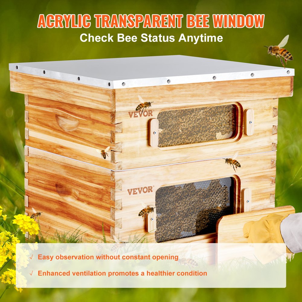 AMITOOLS Bee Hive 20 Frame Bee Hives Starter Kit, Beeswax Coated Cedar Wood, 1 Deep + 1 Medium Bee Boxes Langstroth Beehive Kit, Transparent Acrylic Windows with Foundations for Beginners Pro Beekeepers