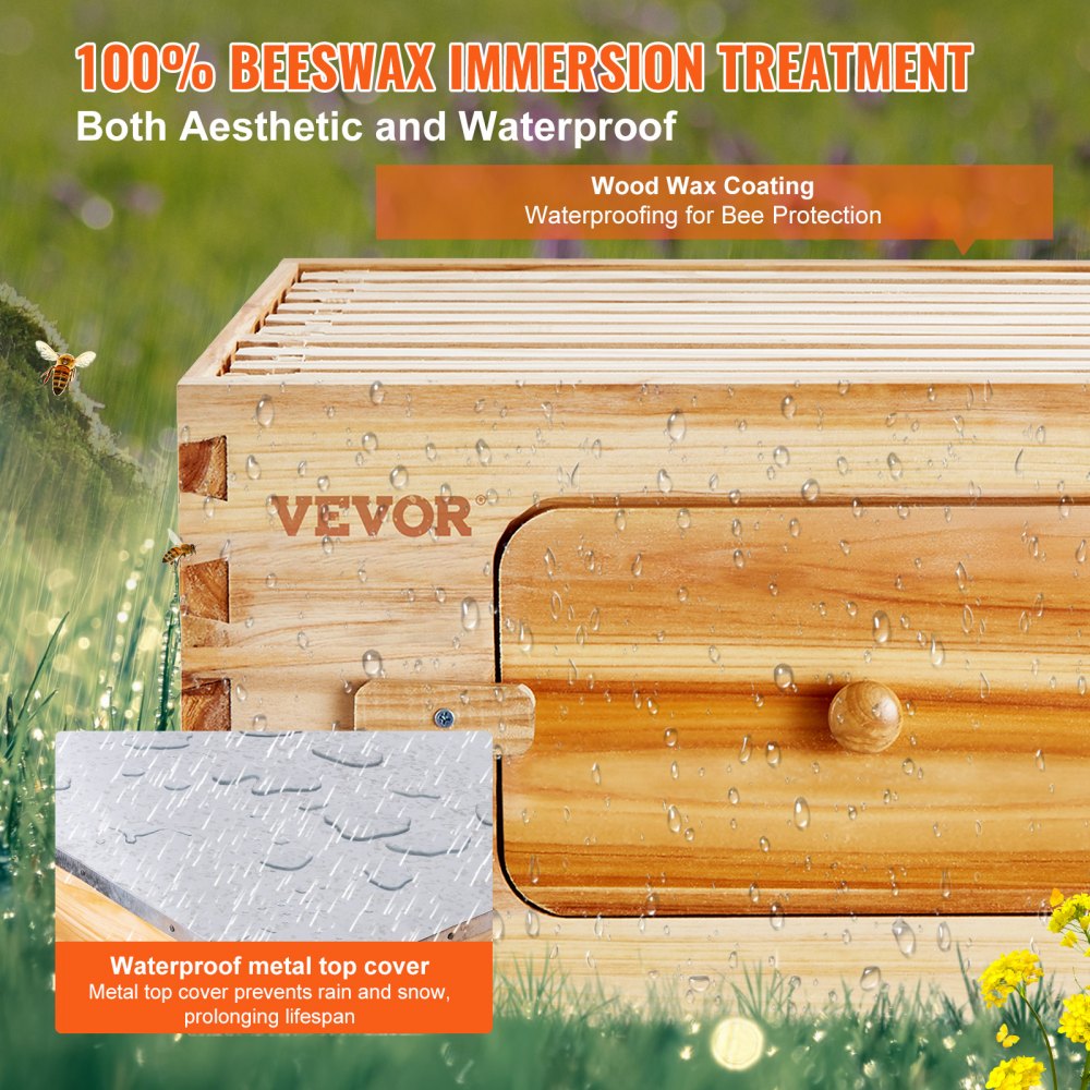 AMITOOLS Bee Hive 20 Frame Bee Hives Starter Kit, Beeswax Coated Cedar Wood, 1 Deep + 1 Medium Bee Boxes Langstroth Beehive Kit, Transparent Acrylic Windows with Foundations for Beginners Pro Beekeepers