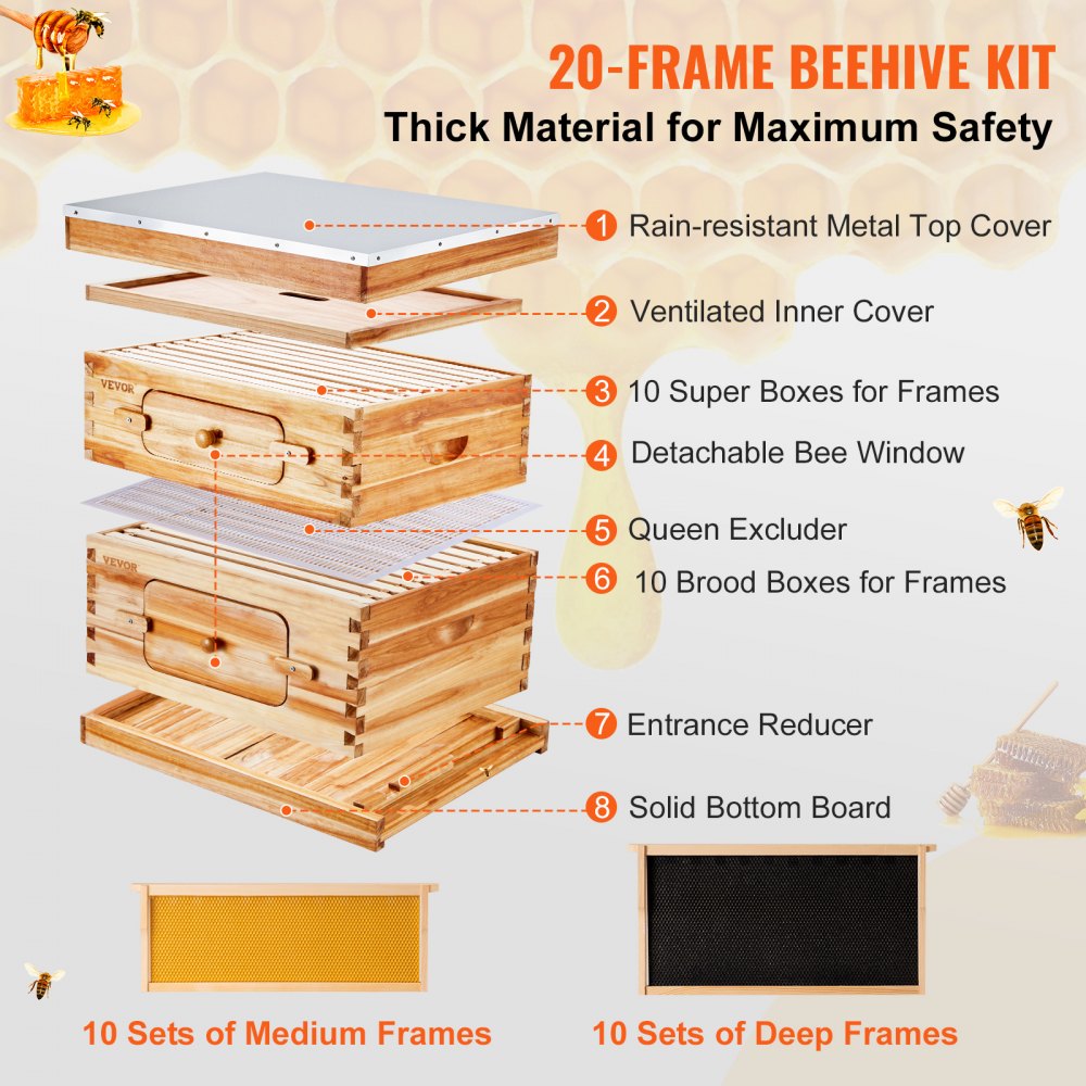 AMITOOLS Bee Hive 20 Frame Bee Hives Starter Kit, Beeswax Coated Cedar Wood, 1 Deep + 1 Medium Bee Boxes Langstroth Beehive Kit, Transparent Acrylic Windows with Foundations for Beginners Pro Beekeepers