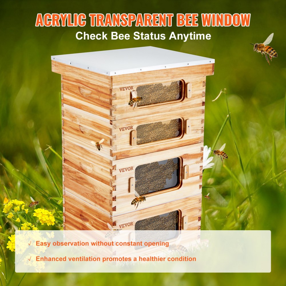 AMITOOLS Bee Hive 40 Frame Bee Hives Starter Kit, Beeswax Coated Cedar Wood, 2 Deep + 2 Medium Bee Boxes Langstroth Beehive Kit, Transparent Acrylic Windows with Foundations for Beginners Pro Beekeepers