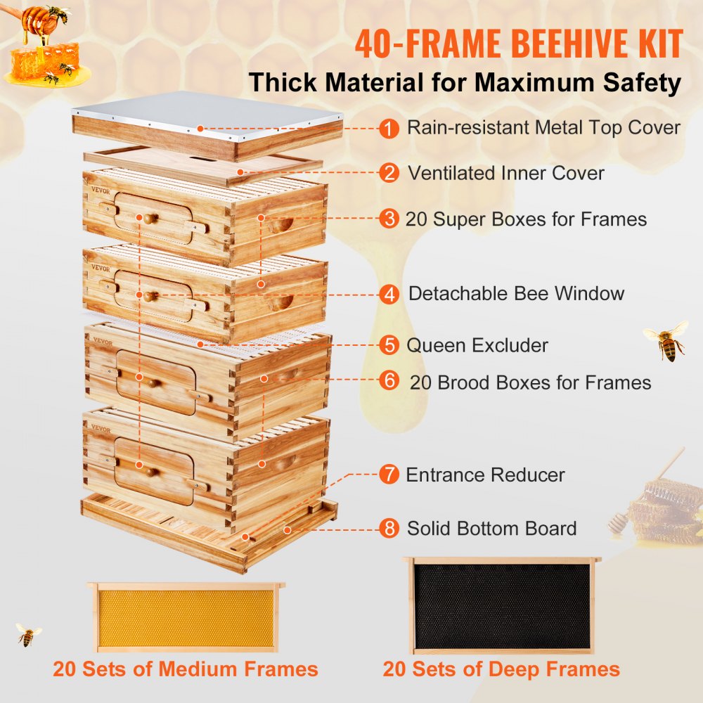 AMITOOLS Bee Hive 40 Frame Bee Hives Starter Kit, Beeswax Coated Cedar Wood, 2 Deep + 2 Medium Bee Boxes Langstroth Beehive Kit, Transparent Acrylic Windows with Foundations for Beginners Pro Beekeepers