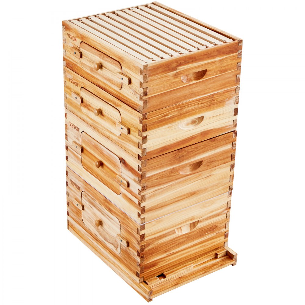 AMITOOLS Bee Hive 40 Frame Bee Hives Starter Kit, Beeswax Coated Cedar Wood, 2 Deep + 2 Medium Bee Boxes Langstroth Beehive Kit, Transparent Acrylic Windows with Foundations for Beginners Pro Beekeepers