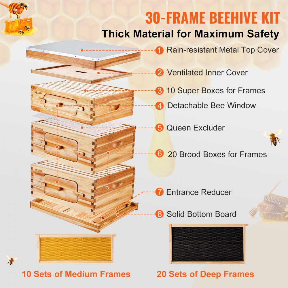 AMITOOLS Bee Hive 30 Frame Bee Hives Starter Kit, Beeswax Coated Cedar Wood, 2 Deep + 1 Medium Bee Boxes Langstroth Beehive Kit, Transparent Acrylic Windows with Foundations for Beginners Pro Beekeepers