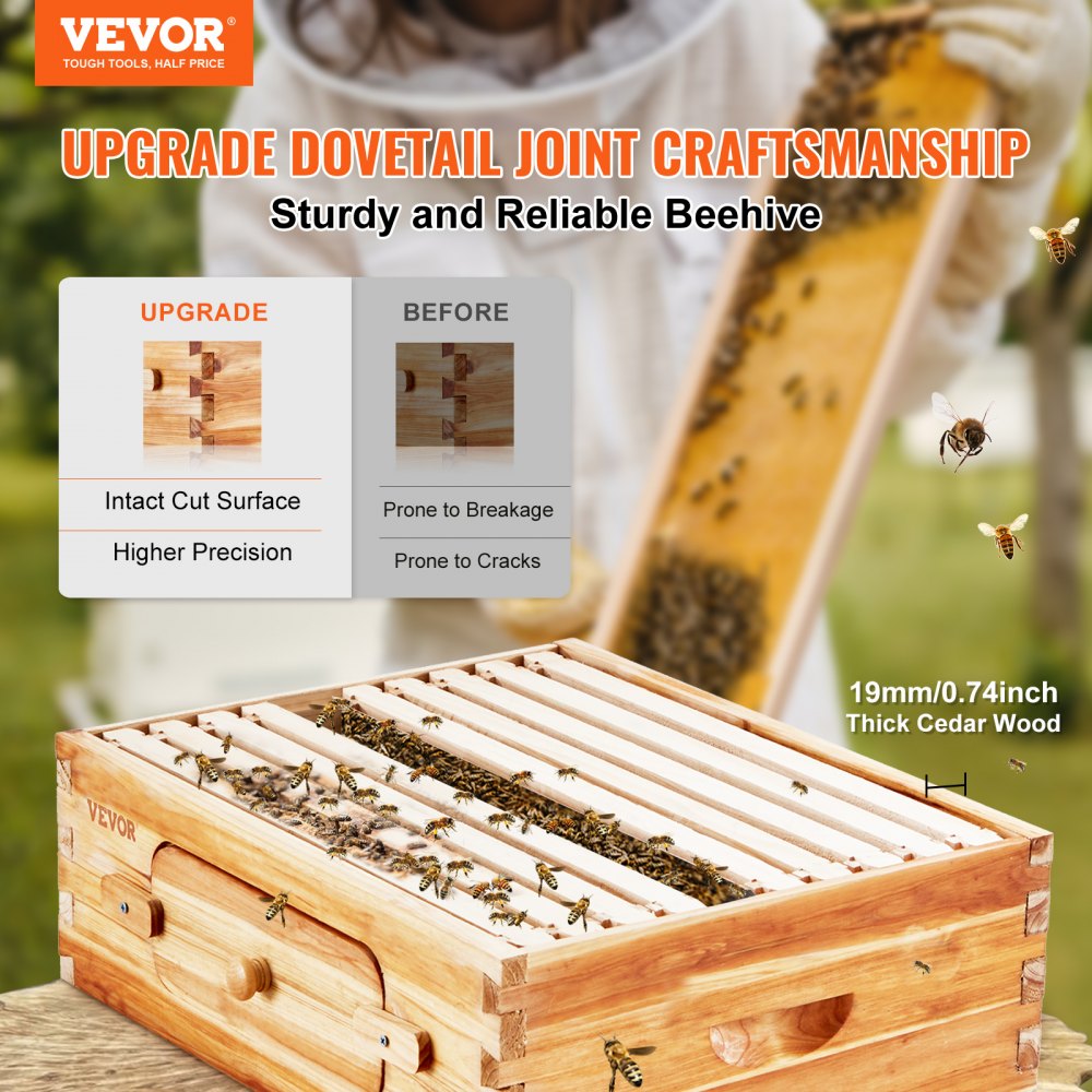 AMITOOLS Bee Hive Medium Box Starter Kit, 100% Beeswax Coated Natural Cedar Wood, Langstroth Beehive Kit with 10 Frames and Foundations, Transparent Acrylic Bee Windows for Beginners and Pro Beekeepers