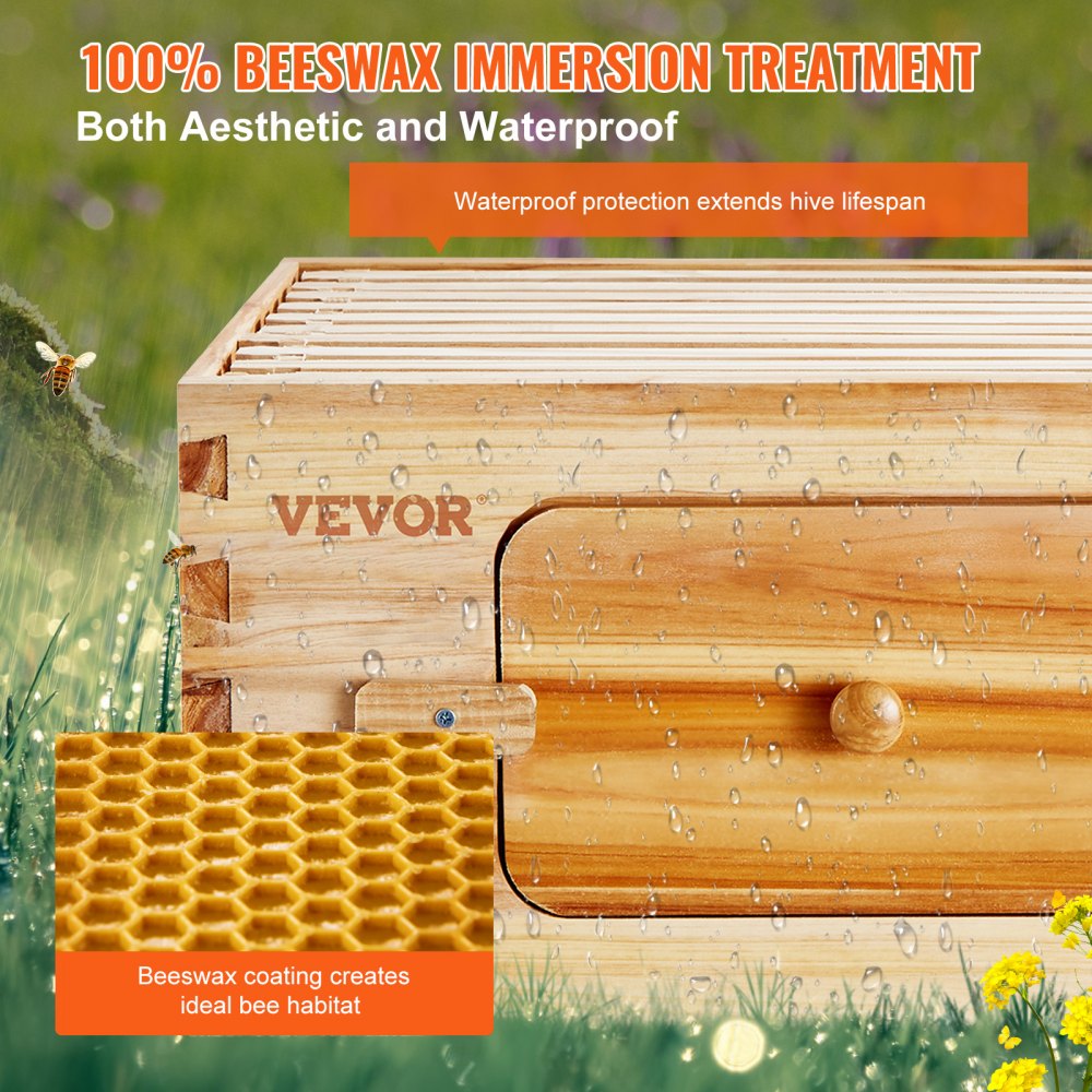 AMITOOLS Bee Hive Medium Box Starter Kit, 100% Beeswax Coated Natural Cedar Wood, Langstroth Beehive Kit with 10 Frames and Foundations, Transparent Acrylic Bee Windows for Beginners and Pro Beekeepers