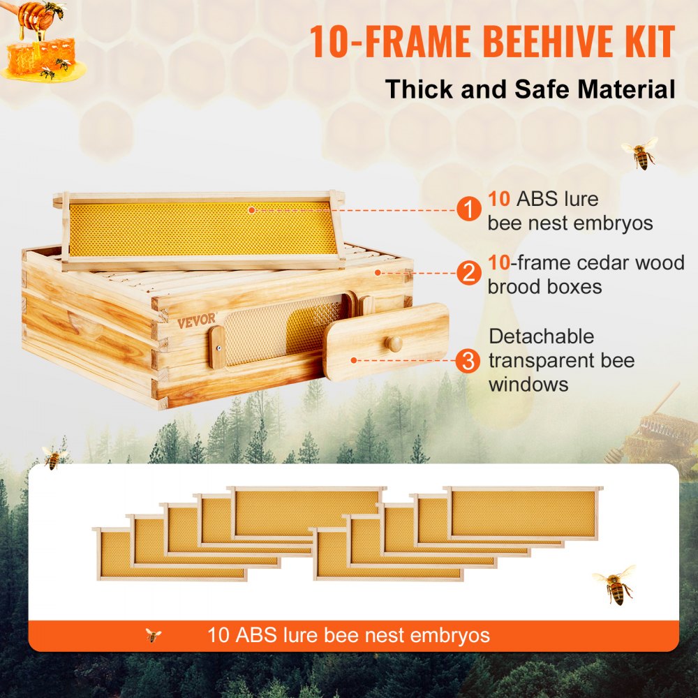 AMITOOLS Bee Hive Medium Box Starter Kit, 100% Beeswax Coated Natural Cedar Wood, Langstroth Beehive Kit with 10 Frames and Foundations, Transparent Acrylic Bee Windows for Beginners and Pro Beekeepers