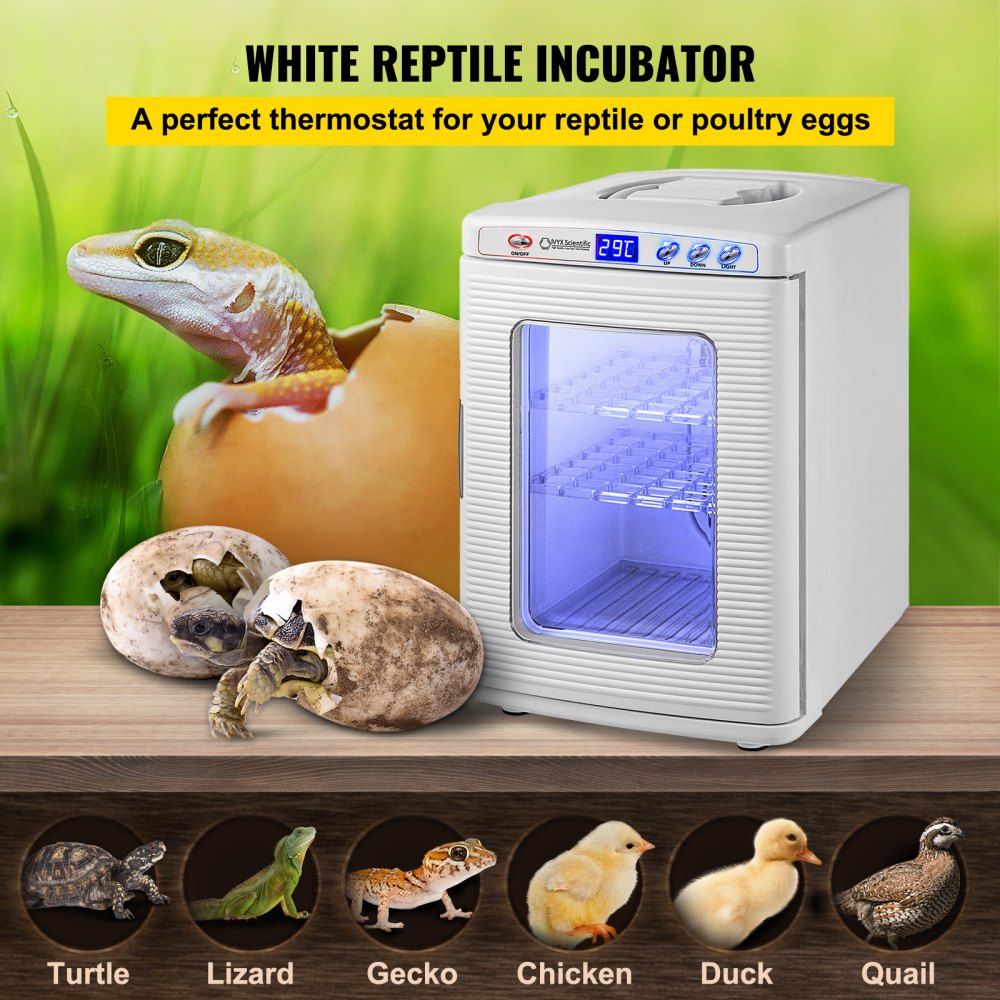 AMITOOLS White Reptile Incubator 25L Scientific Lab Incubator Digital Incubator Cooling and Heating 5-60°C Reptile Egg Incubator 12V/110V Work for Small Reptiles