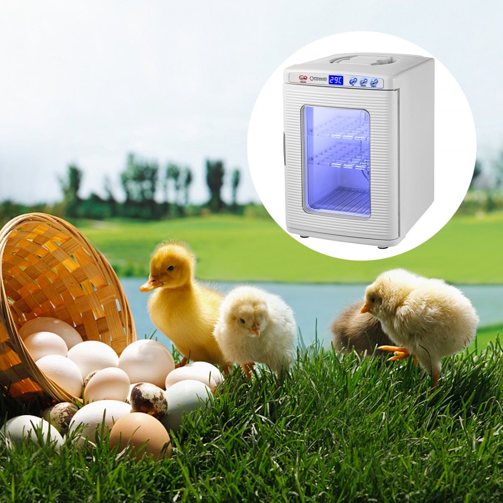 AMITOOLS White Reptile Incubator 25L Scientific Lab Incubator Digital Incubator Cooling and Heating 5-60°C Reptile Egg Incubator 12V/110V Work for Small Reptiles