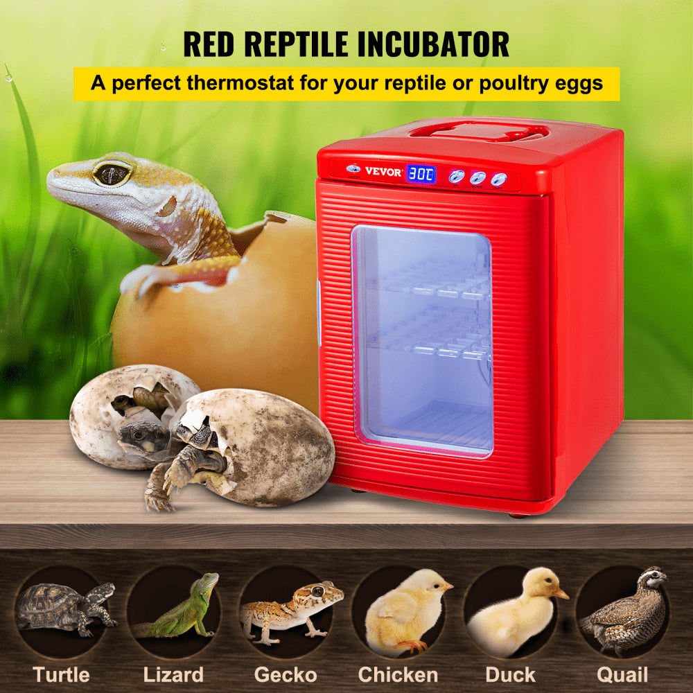 AMITOOLS Red Reptile Incubator 25L Scientific Lab Incubator Digital Incubator Cooling and Heating 5-60°C Reptile Egg Incubator 12V/110V Work for Small Reptiles