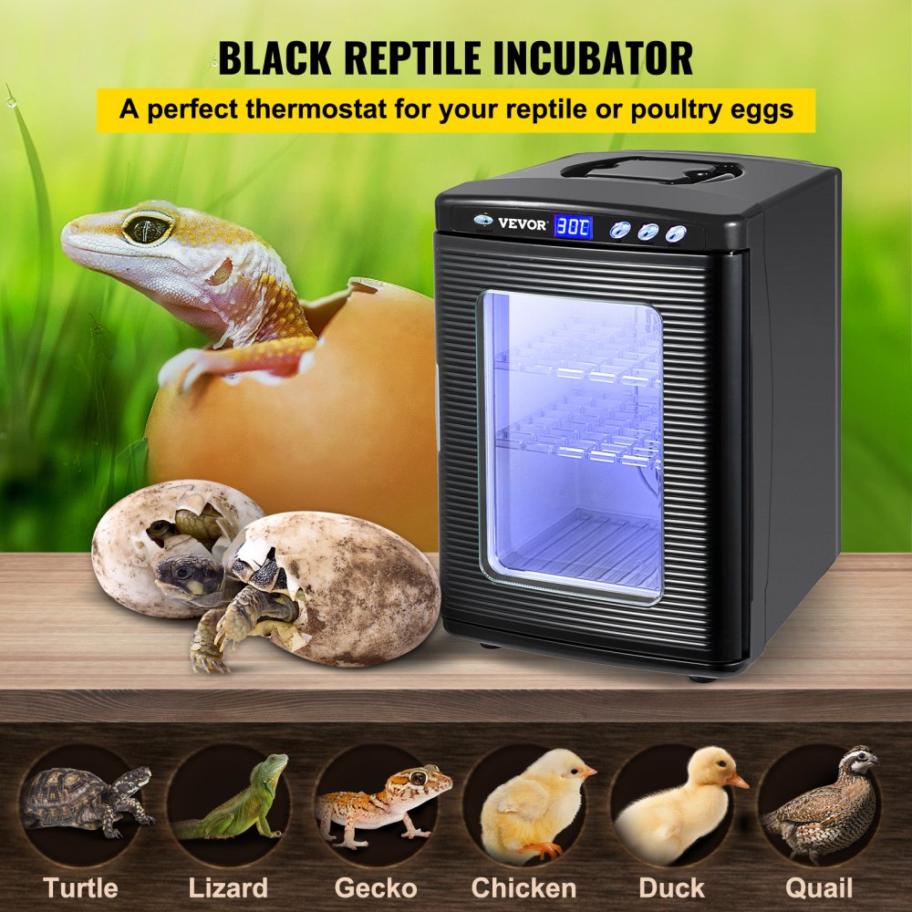 AMITOOLS Black Reptile Incubator 25L Scientific Lab Incubator Digital Incubator Cooling and Heating 5-60°C Reptile Egg Incubator 12V/110V Work for Small Reptiles