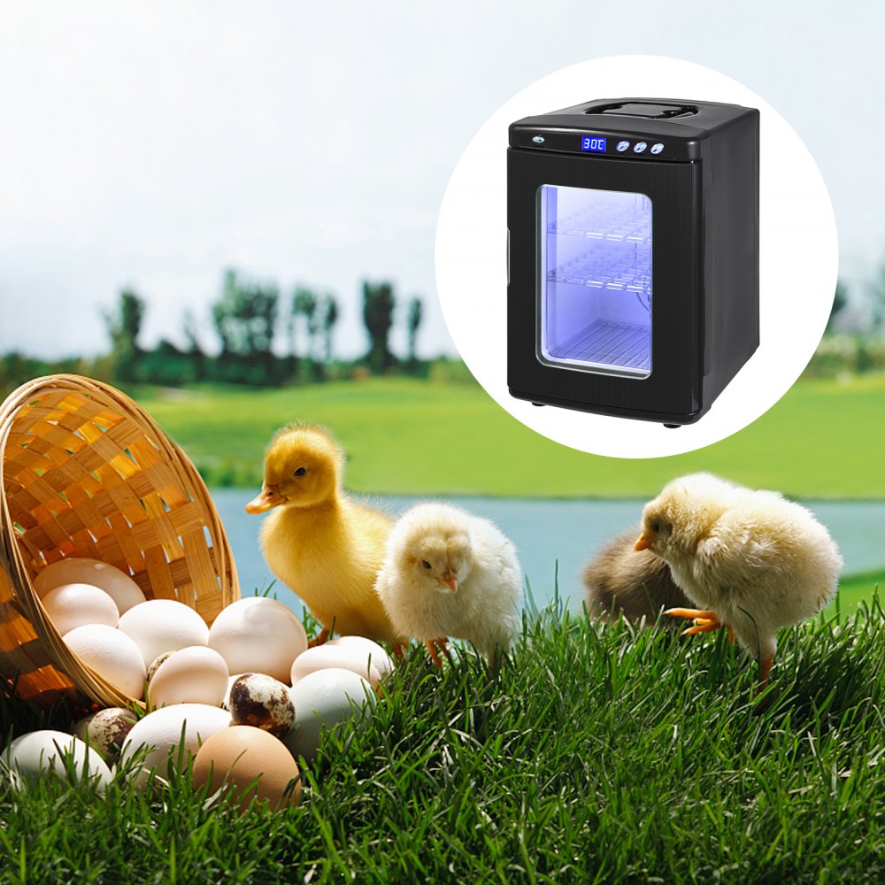 AMITOOLS Black Reptile Incubator 25L Scientific Lab Incubator Digital Incubator Cooling and Heating 5-60°C Reptile Egg Incubator 12V/110V Work for Small Reptiles