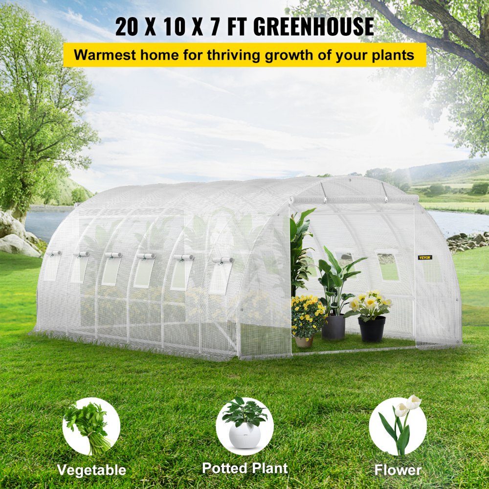 AMITOOLS Walk-in Tunnel Greenhouse, 20 x 10 x 7 ft Portable Plant Hot House w/ Galvanized Steel Hoops, 3 Top Beams, Diagonal Poles, 2 Zippered Doors & 12 Roll-up Windows, White