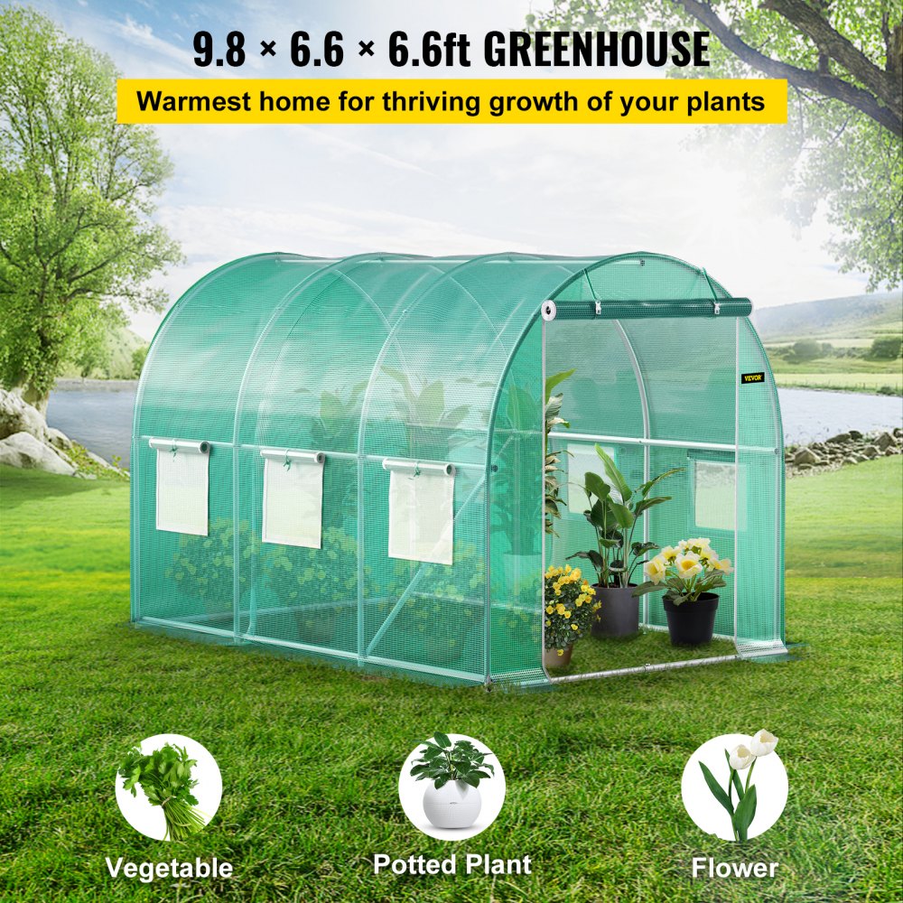 AMITOOLS Walk-in Tunnel Greenhouse, 9.8 x 6.6 x 6.6 ft Portable Plant Hot House w/ Galvanized Steel Hoops, 1 Top Beam, Diagonal Poles, Zippered Door & 6 Roll-up Windows, Green